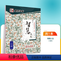 智慧人生·行楷(严海南) [正版]字帖荆霄鹏行楷字帖楷书女生字体漂亮临摹练字成年成人大学生初学者小学生硬笔书法练字帖通用