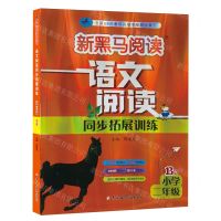 [N]语文阅读同步拓展训练(小学2年级B版)/新黑马阅读-9787576824964