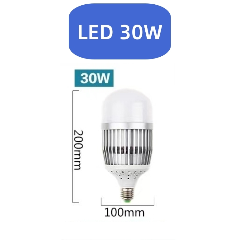 RDZM 防眩光高亮足瓦LED灯泡30W RD1 个