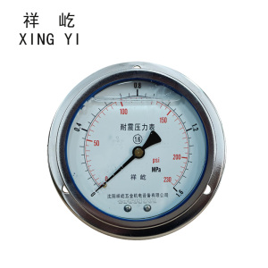 祥屹 耐震压力表轴向带边 YTN100ZT 块