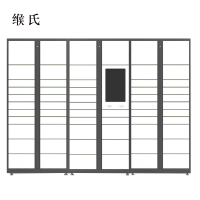 缑氏智能快递柜小区快递自提柜派件柜室外寄存柜信报箱储物柜一主两幅61格