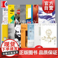 比山更高/离散与在场/重走/可能的世界/月球/全球真实故事集/争夺记忆破碎之家法国文学 单读系列单向空间上海文艺出版社