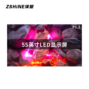 泽显Zshine 55英寸P1.2全彩LED显示屏单元标准16:9压铸铝箱体设计无缝拼接室内电子屏LC-P1.2EEX