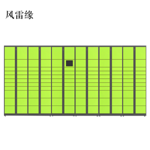 风雷缘智能快递柜小区快递自提柜派件柜室外寄存柜信报箱储物柜一主五副131格