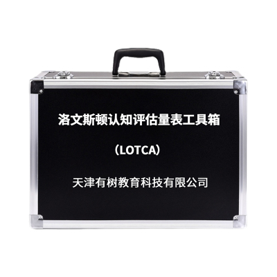 有树 YSXL-LOTCA01 DLOTCA洛文斯顿认知功能评定工具箱专业早教教具