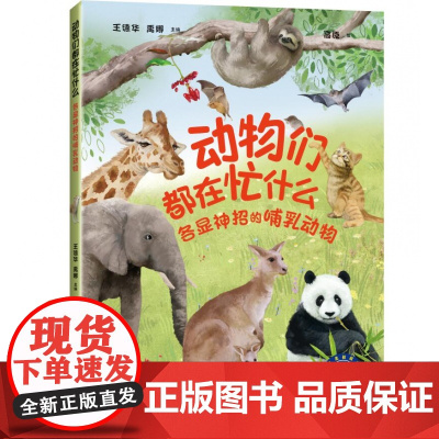 动物们都在忙什么:各显神招的哺乳动物