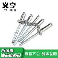 义亨 不锈钢抽芯拉铆钉 M6*20 个