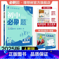 数学 RJ 九年级下 [正版]理想树2025版初中九年级下册数学人教版RJ初三同步练习中考复习资料模拟题辅导书同步练习题