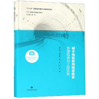 音像城市地铁盾构隧道病害快速检测与工程实践黄宏伟 薛亚东 著