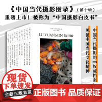中国当代摄影图录第十辑10册 刘铮著当代摄影大师成名作高清作品集纪实摄影照片解析摄影书籍摄影画册精装图鉴 摄影艺术鉴赏品