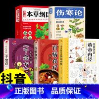 [5册]漫画讲透黄帝内经中医书籍 [正版]黄帝内经漫画版书籍漫画讲透黄帝内经彩图漫画无障碍阅读二十四节气养生智慧十二时辰