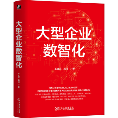 正版新书]大型企业数智化王文京 郭倩 著9787111787594