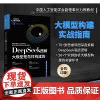 DeepSeek图解 大模型是怎样构建的 张治政等 著 计算机与互联网