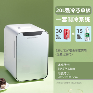 [补贴10%]迷你小冰箱小型家用宿舍车载冰箱mini学生冷藏冷冻单人小冰柜胰岛素冷藏