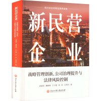 [M]新民营企业 战略管理创新、公司治理提升与法律风险控制-9787517851110