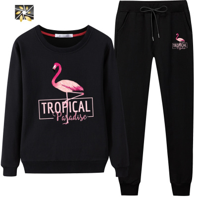 暖青汇春秋季女休闲服棉运动套装2020秋装新款学生宽松时尚卫衣两件套卫衣