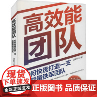 高效能团队 如何快速打造一支高能量铁军团队 沈柏宇 著 领导学经管、励志 正版图书籍 中国商业出版社