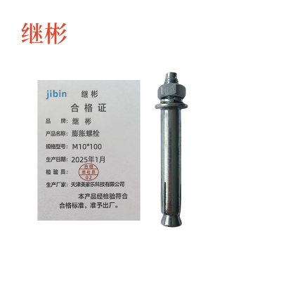 继彬膨胀螺栓 M10*100 个