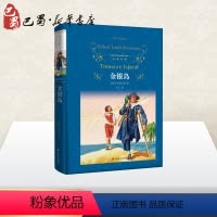 [正版]金银岛 (英)罗伯特·路易斯·史蒂文森 著 王宏 译 英国文学/欧洲文学文学 书店图书籍 译林出版社