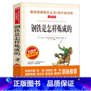 钢铁是怎么炼成的 [正版]钢铁是怎样炼成的初中原著完整版适合小学生初中生课外阅读书籍青少年初二学生版七八年级下册必读名著