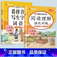 看拼音写词语+阅读理解 六年级下 [正版]2023新版小学六年级上册语文数学同步训练全套人教版阅读理解专项训练书看拼音写