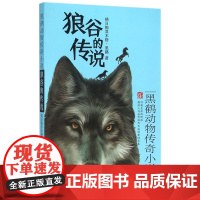 狼谷的传说(黑鹤动物传奇小说) 6-7-9-10-12岁中国青少年儿童文学动物小说 儿童经典小说 中小学生课外读书 寒暑