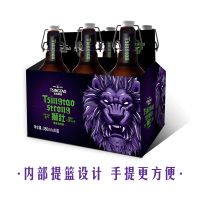 青島啤酒TSINGTAO狮壮16.8度380ml*6*2箱啤