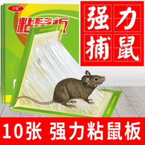 [补贴10%]抓老鼠笼子夹子捕鼠器捉扑捕灭鼠神器室内超强家用克星高效一窝端 10粘强力粘鼠板