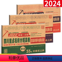 [四川名校分班真卷]语文+数学+英语 小学升初中 [正版]小学语文知识集锦四川专版知识大集结培优宝典让孩子从此爱上语文小