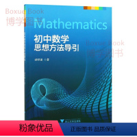 数学 [正版]初中数学 思想方法导引 初中七八九年级 数学刷题 解题技巧辅导书 初一二三 全一册 中考复习资料书 孙厚康