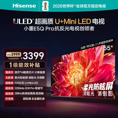 海信电视小墨E5Q Pro 55英寸 520分区U+MiniLED 信芯芯片消眩光柔光防眩屏 国家补贴55E5Q-PRO