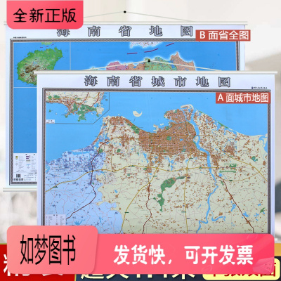 正版新书-2020新海南省地图挂图海口市地图挂图正反面印刷挂绳精装高清印刷1.4*1米超全开地图详细版城