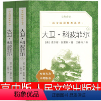 大卫科波菲尔 人民文学出版社 [正版]高中版 大卫科波菲尔 宋兆霖译狄更斯原著原版全译本无删减人民必读课外阅读书籍适合高