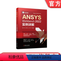 [正版]ANSYS Workbench2022实例详解 鲁义刚 胡明明 武文帅 几何建模 网格划分 结构线性静力学 热