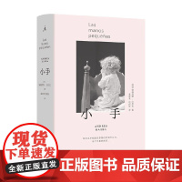 小手 安德烈斯·巴尔瓦 著 小说