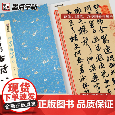 墨点字帖:中华好诗词·田小华行书古诗八十首