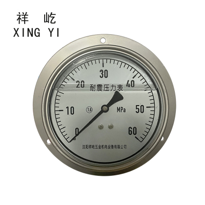 祥屹 耐震压力表轴向带边 YTN150ZT 块 压力值备注