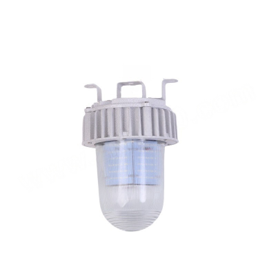 ZHEGUANRONG/浙冠荣免维护led工厂灯GRD9180-100W 个