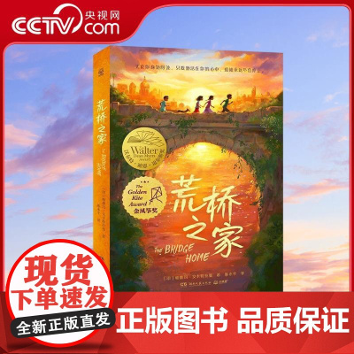 [央视网]荒桥之家 少儿版 追风筝的人 孩子看见世界的另一面 学会珍惜拥有的生活 学会坚强和爱的成长小说湖南文艺出版社