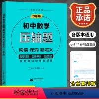 数学 七年级/初中一年级 [正版]初中数学压轴题阅读探究新定义七年级 初一必刷题数学题型与技巧全归纳精讲解题技巧与方法初