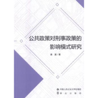 音像公共政策对刑事政策的影响模式研究姜瀛著