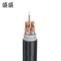 盛盛 铜芯电缆YJV4*95+1*50 米