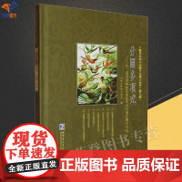 新书分圆多项式从一道美国国家队选拔考试试题的解法谈起正版哈工大分圆多项式西格蒙德定理系数高等学校数学专业学生教师参考