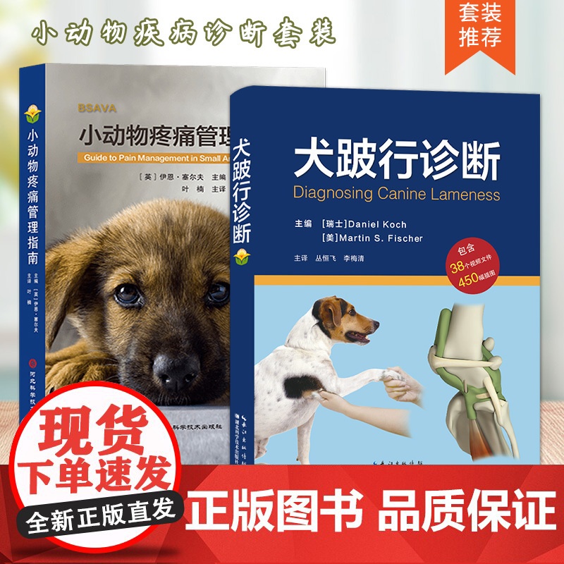 套装 两本一套 犬跛行诊断 小动物疼痛管理指南 整骨医生整脊医生 骨病问题诊治 疼痛管理的实用信息 疼痛疗法 疼痛治疗药