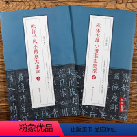 [正版] 欧体书风小楷墓志集萃全2本丘师墓志王女节墓志翟天德墓志李誉墓志 毛笔软笔楷书练字帖钟繇小楷六种中国经典碑帖释