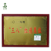 少昂 木托牌 SA-MTP-3040 块