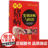图解猪病鉴别诊断与防治