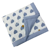 华人情思 纳米夏凉被被子 200*230cm/床