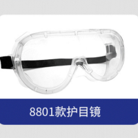 盾守8801标准款护目镜 5副装