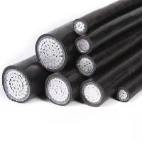 JINTE 铝芯交联聚乙烯电缆JKLYJ1×95 米